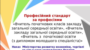 Професійний стандарт  учителя за професіями. Презентація 2020 рік