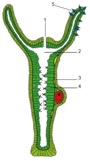 04000dv5-d83e-309x551.jpg