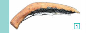 04000hdc-e1e4-276x105.png