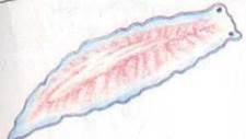 04000hls-7e92-225x127.jpg