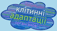 Тематичні тести 1. Адаптації 