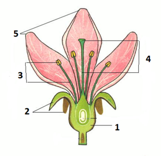 04000mcm-7486-434x420.png