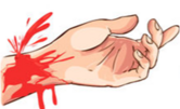04000md1-bc99-166x101.png