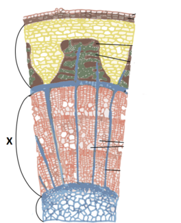 04000otd-2dfb-264x326.png