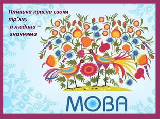 04000qqq-033d-311x233.jpg
