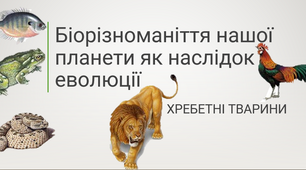 Біорізноманіття нашої планети як наслідок еволюції: Хребетні тварини