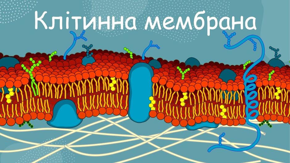 04000sas-5142-940x529.jpg
