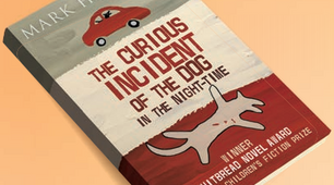 8.4 The curious incident of the dog in the night-time