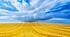 Моя Батьківщина