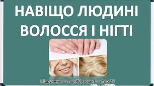 Презентація до уроку Я досліджую світ -  НАВІЩО ЛЮДИНІ  ВОЛОССЯ І НІГТІ (3 клас)
