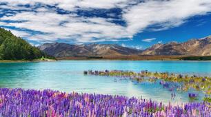 New Zealand – the Land of Wonders