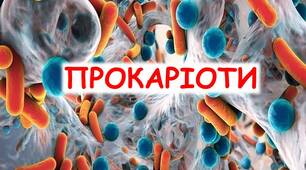 ПРОКАРІОТИ 
