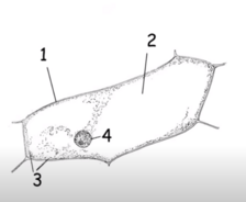 0400147a-4491-224x184.png