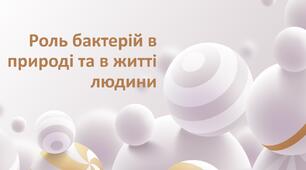 Презентація з теми: "Роль бактерій в природі та в житті людини".