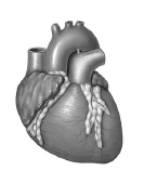 040019qm-b255-133x170.png