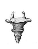 040019qw-3967-133x170.png