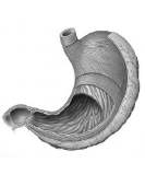 040019r3-b492-133x170.png