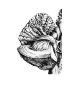 040019r7-0c8c-129x170.png