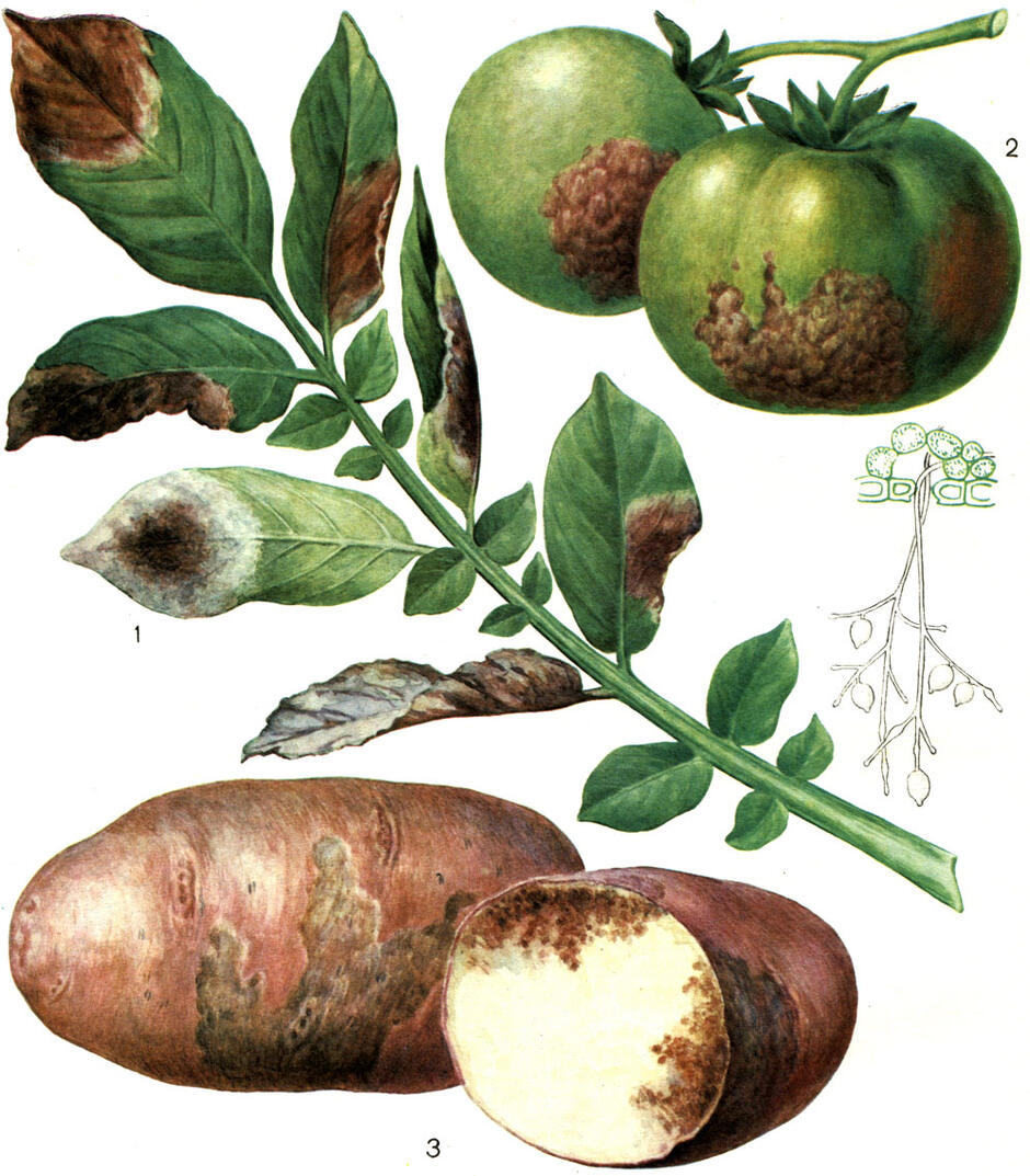04001c0c-a36c-940x1073.jpg
