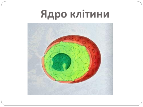 04001d37-8086-480x360.png