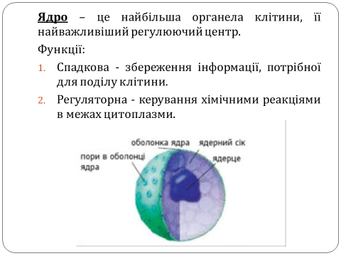 04001d3h-86da-480x360.png