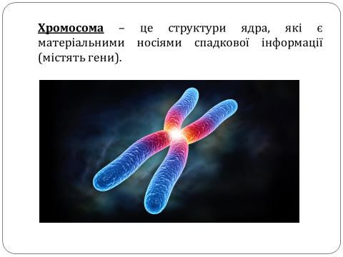 04001d46-d287-480x360.png