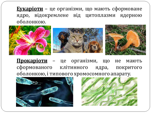 04001d4d-b8e6-480x360.png