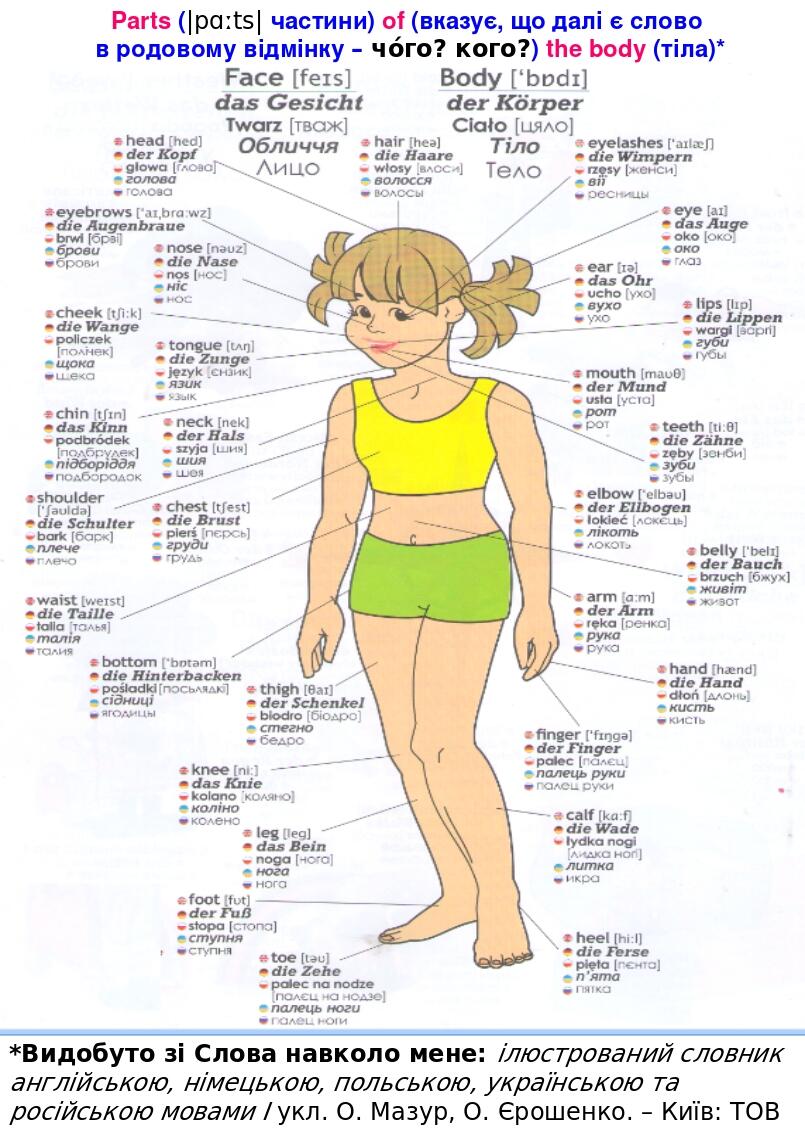 Parts of body презентация