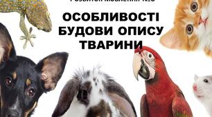 Презентація  "Особливості будови опису тварини" 5 клас (НУШ)