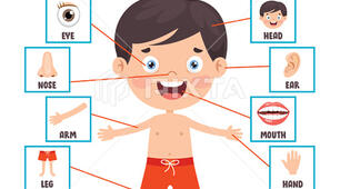 Parts of My Body (TEST)