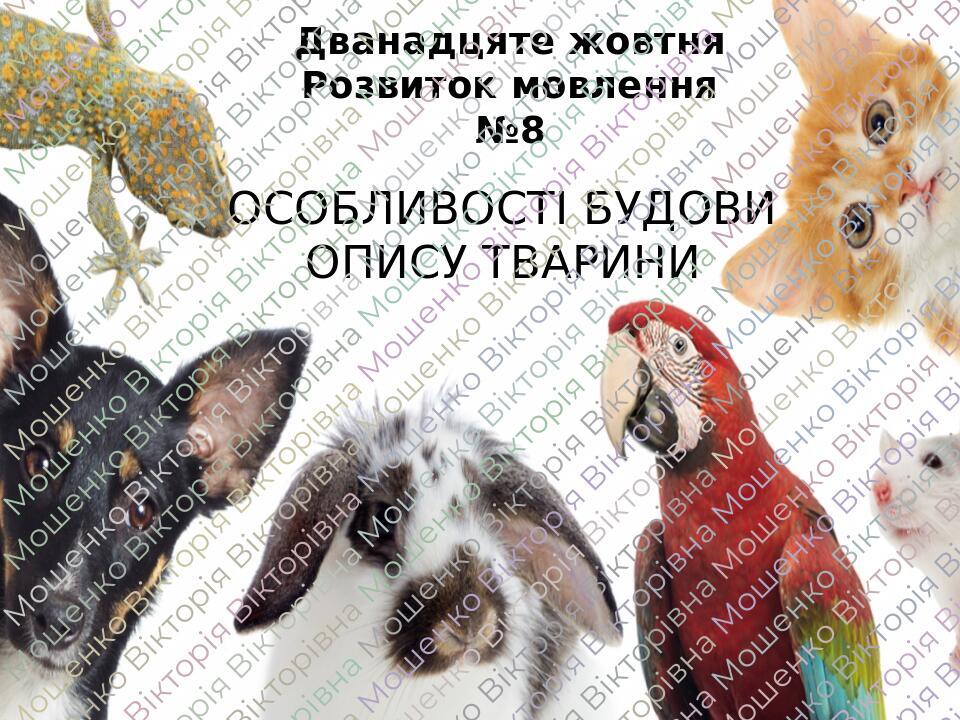 Презентація "Особливості будови опису тварини" 5 клас (НУШ ...