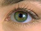 04001l78-02d1-133x100.jpg