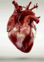 04001l7g-5231-90x126.png