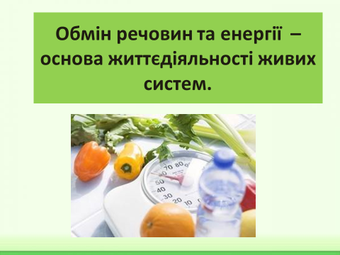 04001lh8-6e68-480x360.png