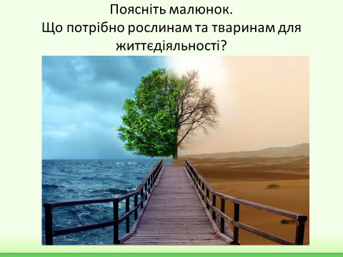 04001lhh-c743-480x360.png