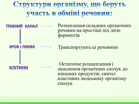 04001lic-b07f-480x360.png