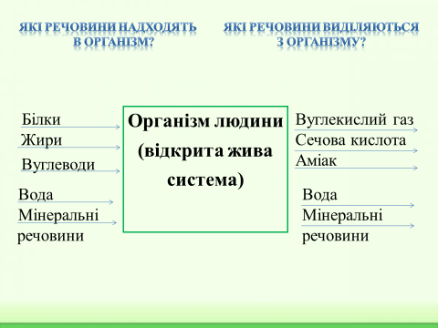 04001lij-7d18-480x360.png