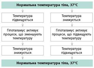 04001nim-6b6b-320x230.jpg