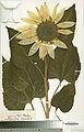 04001omo-4cdc-77x120.jpg