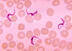 04001qbx-cee3-72x51.jpg