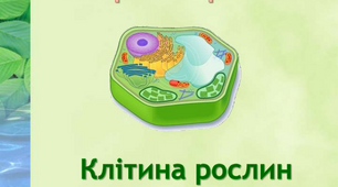Органели клітини
