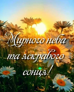 04001vej-f73c-237x296.png