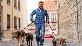 How to Start a Dog Walking Business | Ownr
