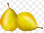 04001vo7-b1a4-88x65.png