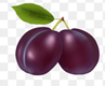 04001vp6-7ea7-97x80.png