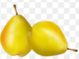 04001vq4-8702-139x103.png