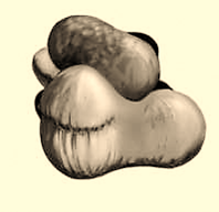 04001yuh-d7bf-198x192.png