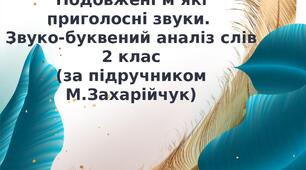Подовжені м’які приголосні звуки.  Звуко-буквений аналіз слів
