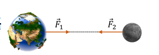 04001zmk-4177-328x114.png