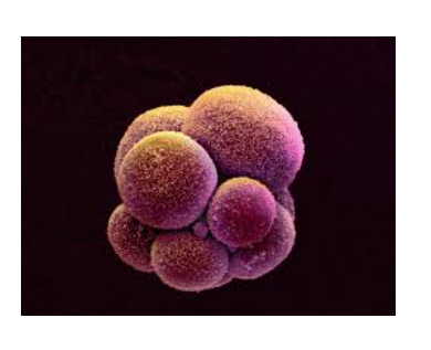 040023w4-a56a-390x317.png